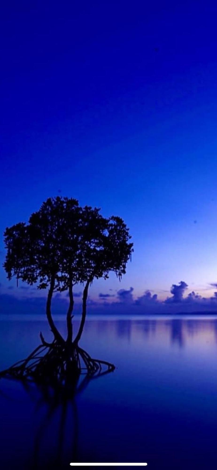 Вилла ほんだけ Ishigaki  Экстерьер фото